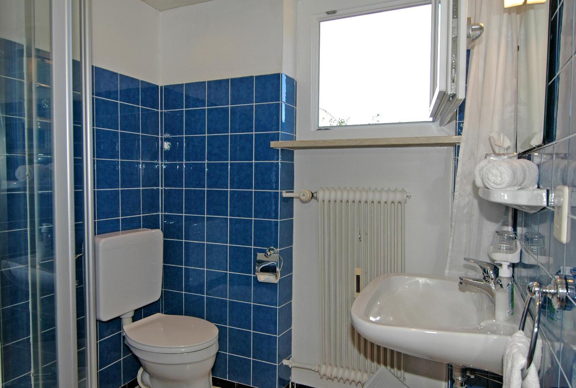 Apartment Apartmenthaus Ahorn Mittelberg